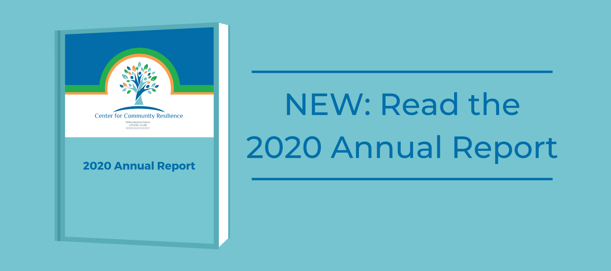 2020 annual report 